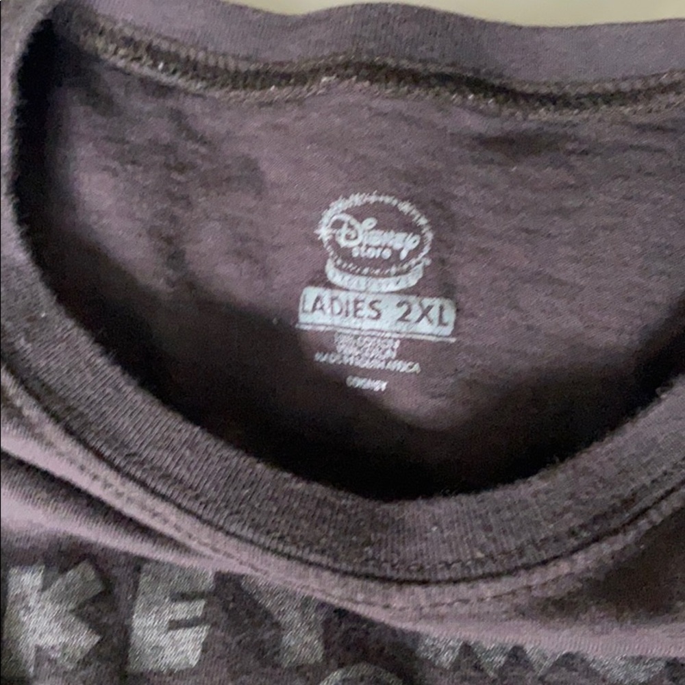 Disney Classic Mickey and Minnie “Plane Crazy” - Picture 3 of 4